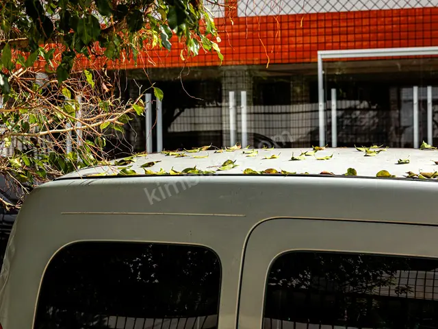 2010 Mercedes-Benz Minivan — Engelli Plakalı, Direksiyon Topuzu — fotoğraf 2