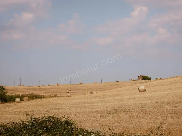 Alanya 9.350 m² Satılık Ticari İmarlı Arsa — fotoğraf 3