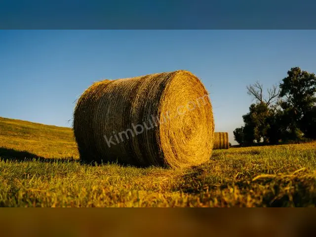 Akhisar 9.350 m² Satılık Konut + Ticari İmarlı Arsa — fotoğraf 3