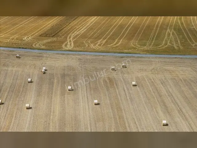 Arsin 17.650 m² Satılık Konut + Ticari İmarlı Arsa — fotoğraf 3
