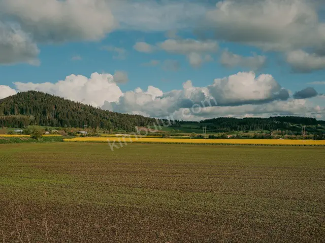 Bağcılar 17.950 m² Satılık Tarla — fotoğraf 4