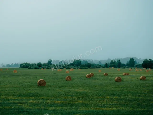 Arsin 17.650 m² Satılık Konut + Ticari İmarlı Arsa — fotoğraf 2