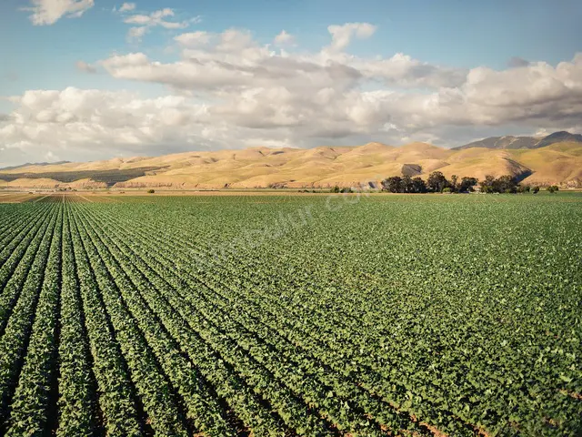 İzmit 20.000 m² Satılık Sanayi İmarlı Arsa — fotoğraf 2
