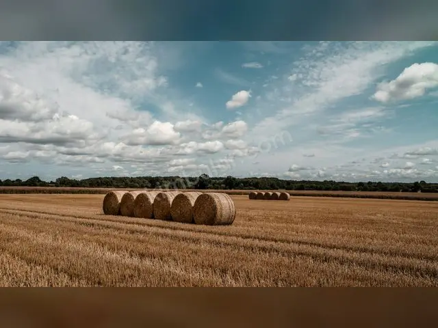 Bağcılar 17.950 m² Satılık Tarla — fotoğraf 2