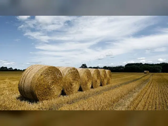 Yenimahalle 20.450 m² Satılık Turizm İmarlı Arsa — fotoğraf 2