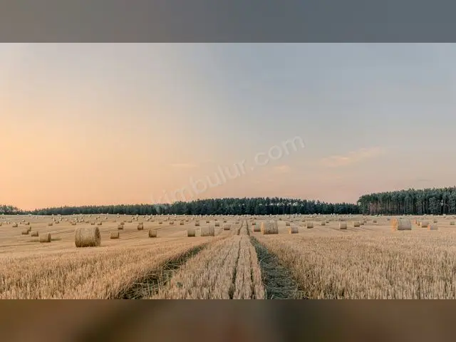 Viranşehir 17.250 m² Satılık Ticari İmarlı Arsa — fotoğraf 2
