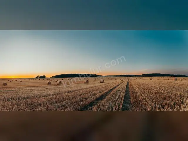 Meram 15.200 m² Satılık Bağ & Bahçe — fotoğraf 2