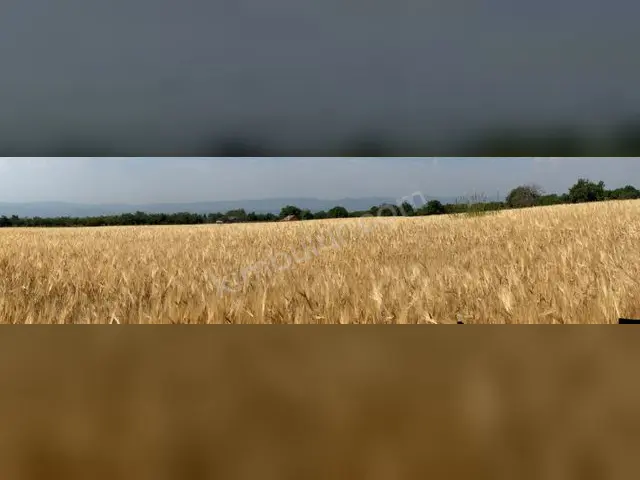 Develi 3.650 m² Kiralık Konut İmarlı Arsa — fotoğraf 4
