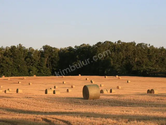 Keçiören 20.550 m² Satılık Konut + Ticari İmarlı Arsa — fotoğraf 3