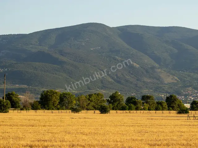 Sarıçam 19.350 m² Satılık Bağ & Bahçe