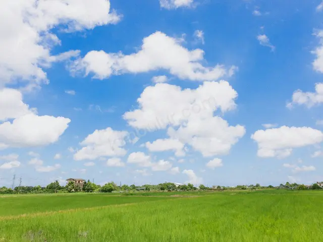 Tavas 16.900 m² Satılık Tarla — fotoğraf 2