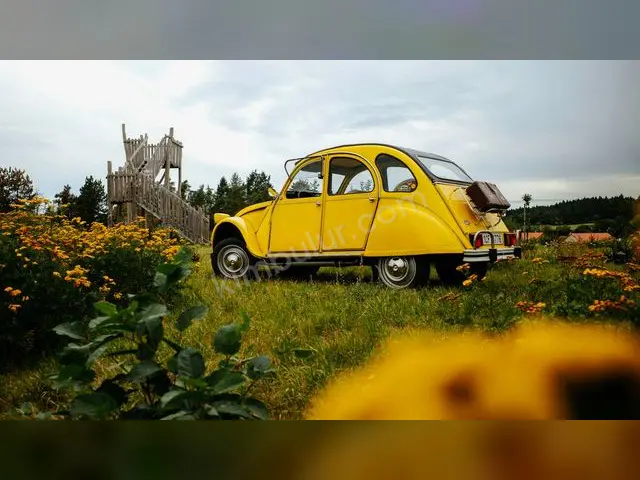 2013 Citroën Premium — Az Yakan — fotoğraf 3