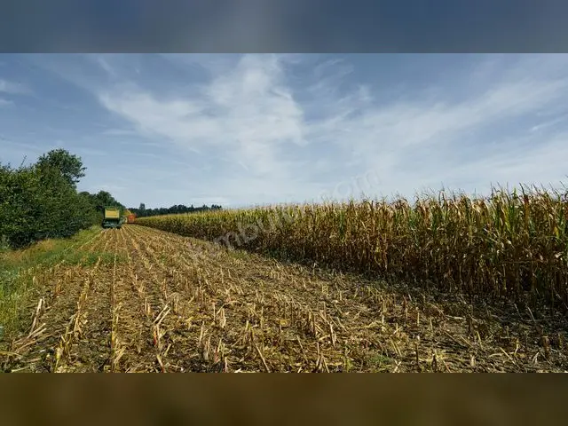 İslahiye 15.600 m² Kat Karşılığı Konut + Ticari İmarlı Arsa — fotoğraf 3