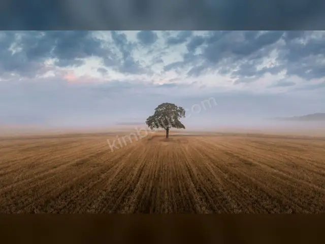 İpekyolu 9.600 m² Kat Karşılığı Konut İmarlı Arsa — fotoğraf 4
