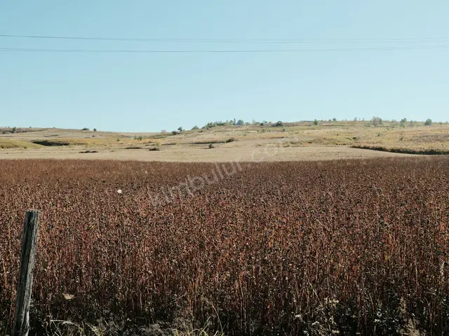 Nizip 14.850 m² Kiralık Ticari İmarlı Arsa — fotoğraf 2